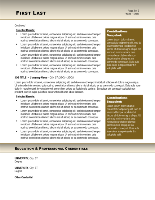Pure Gold Resume Template Page 2
