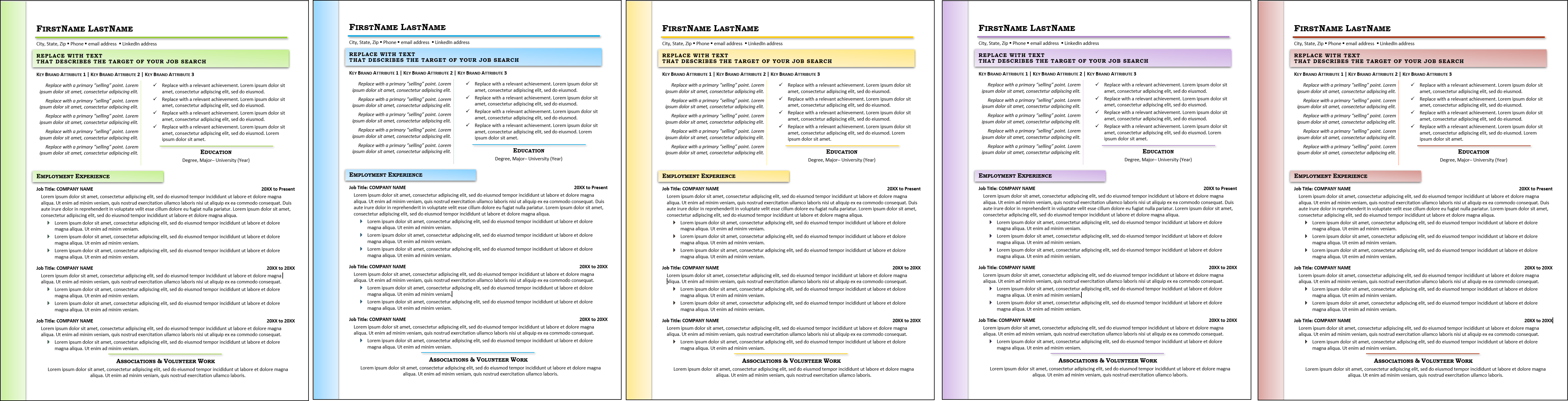 Ambient Entry Multi-Use Resume Template Color Choices