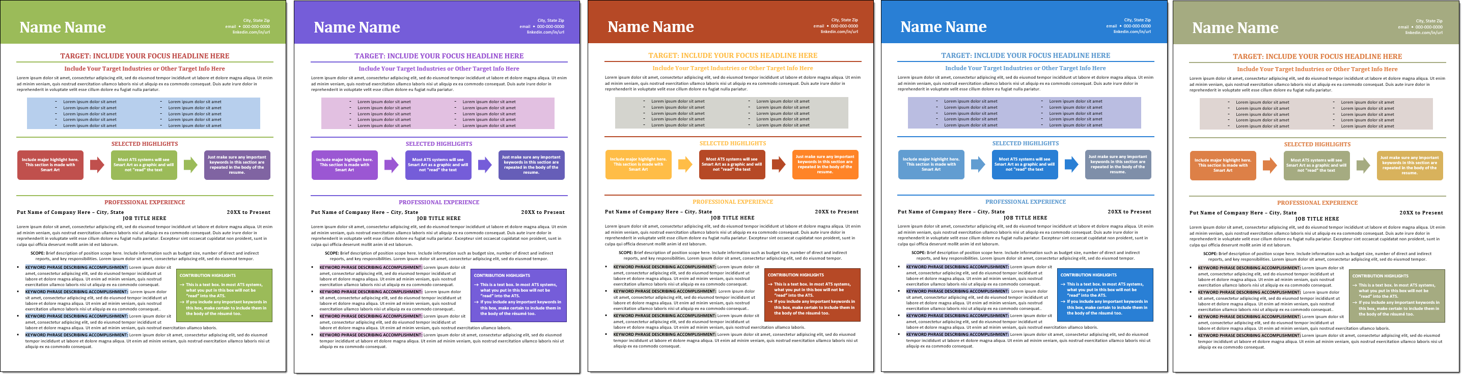 Ambitscape Stylish Resume Template Color Choices