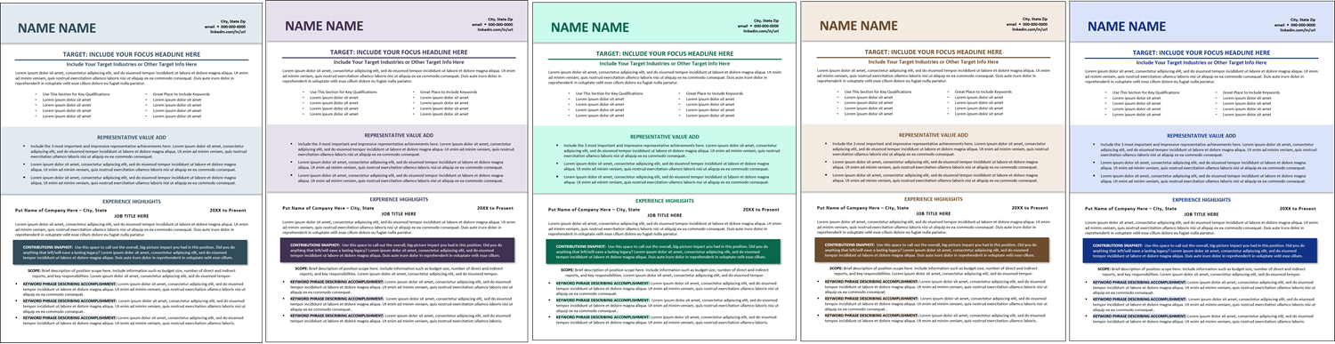 Berry Perfection Versatile Resume Template Color Choices