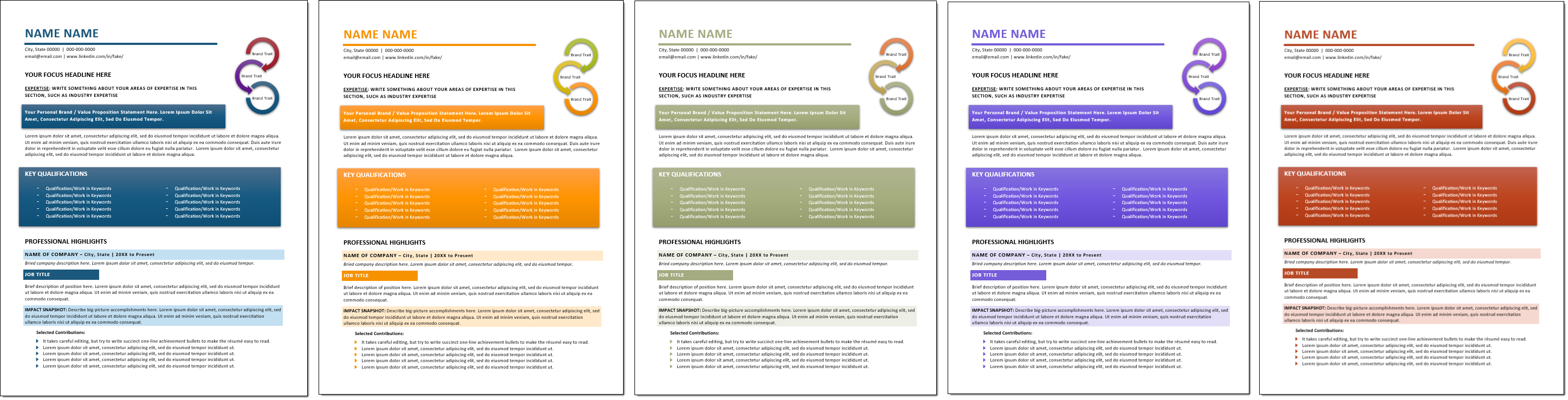 Sophisticated Resume Templates Change Colors