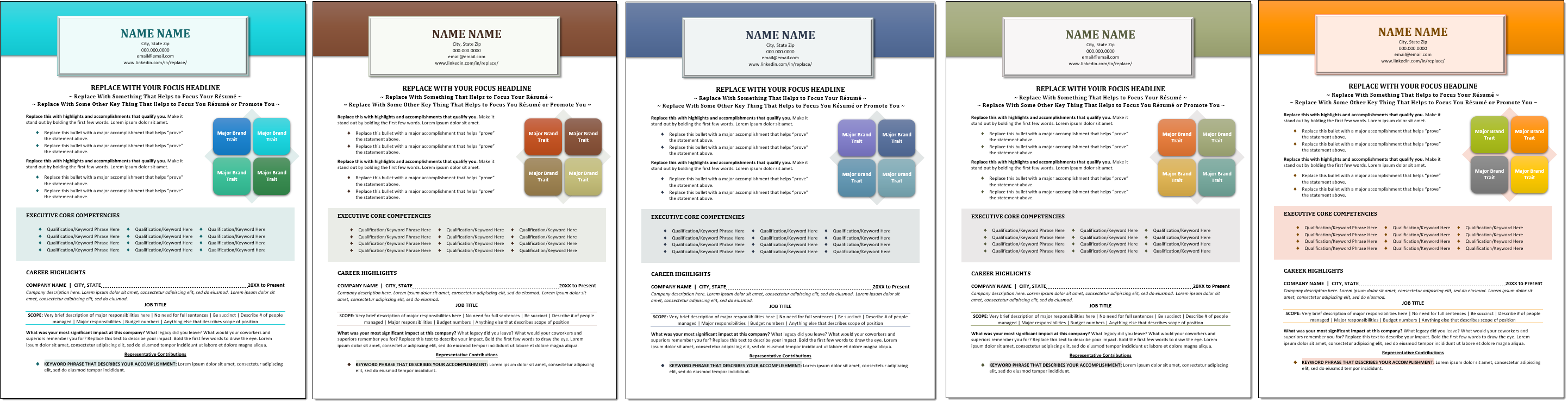 Executive Resume Template Color Choices