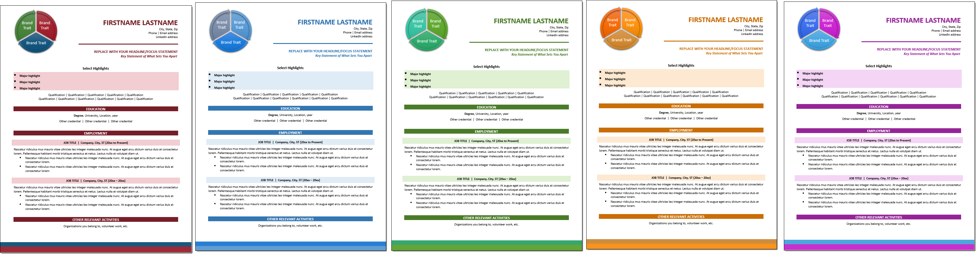 Future Focus Student Resume Color Choices