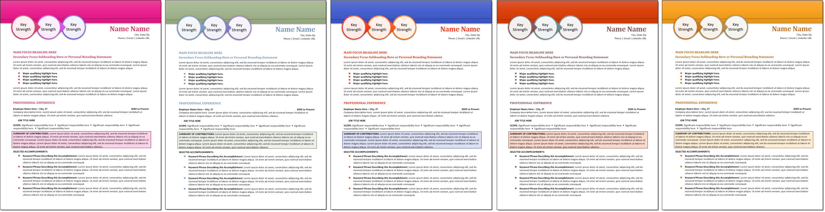 Classic Resume Template Color Choices