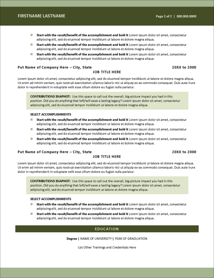 Resume Template for MS Word Page 2