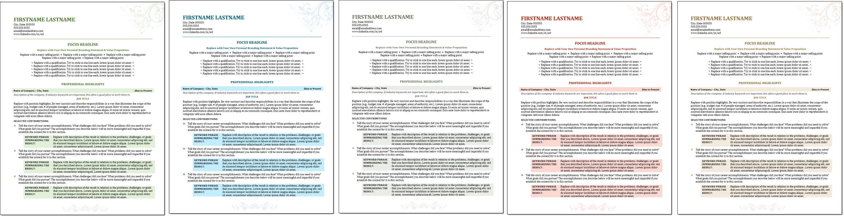 Supreme Elegance Elegant Resume Template Color Choices