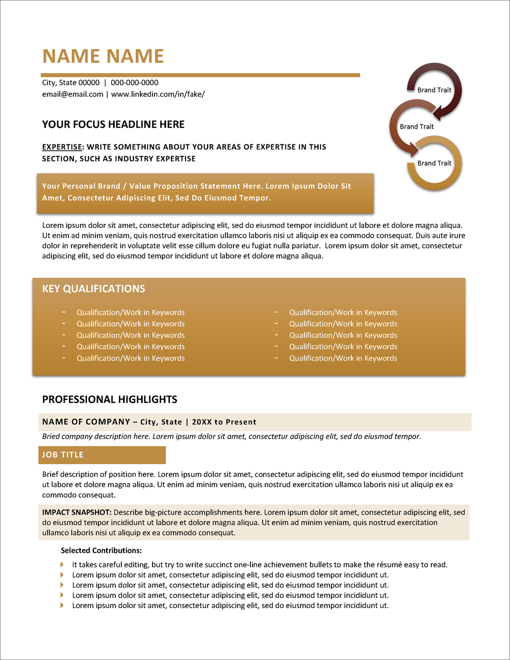 Sophisticated Resume Template Page 1