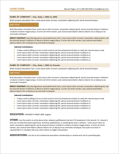 Sophisticated Resume Template Page 2