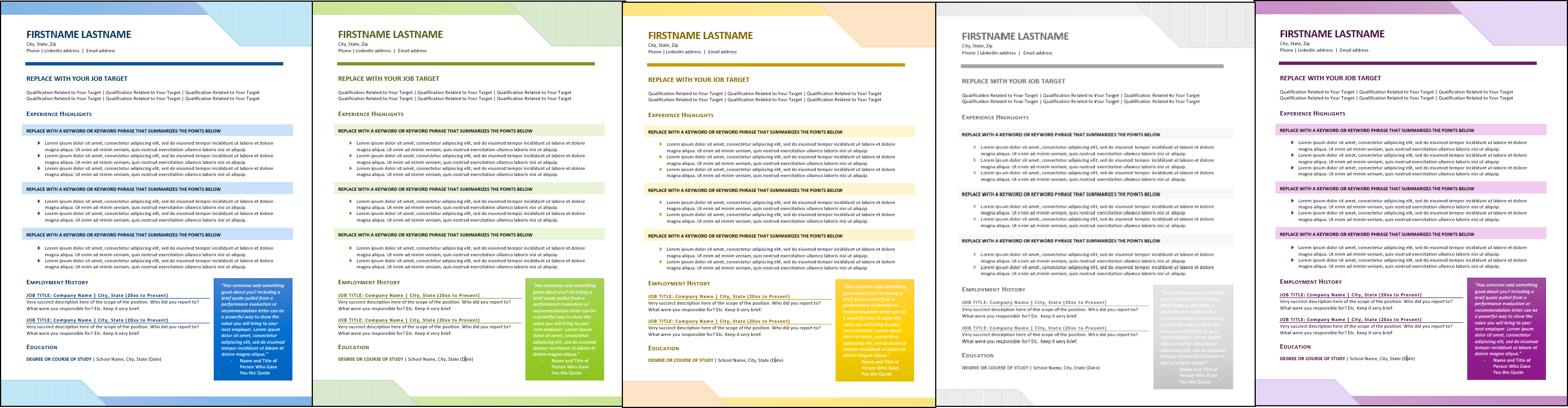Young Professional Resume Template Color Choices