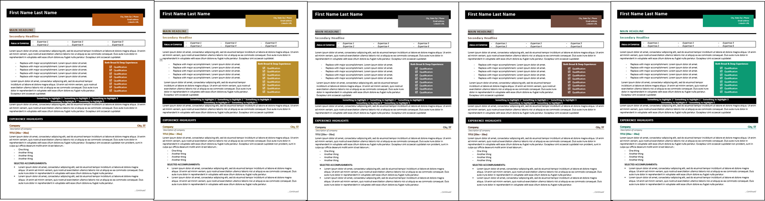 Clean Coporate Resume Template Color Choices