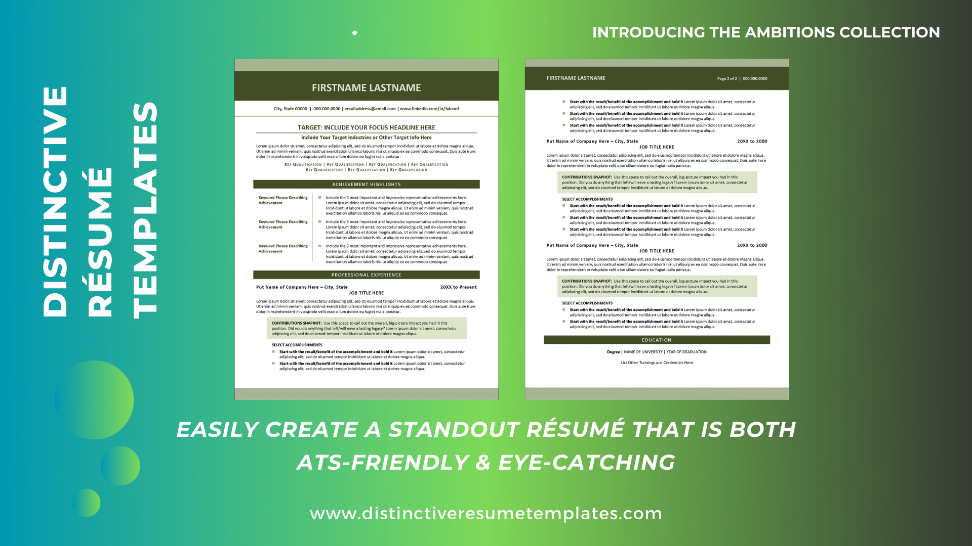 Excellent Resume Template for Professionals Distinctive Resume Templates Excellent Resume Template for Professionals Distinctive Resume Templates