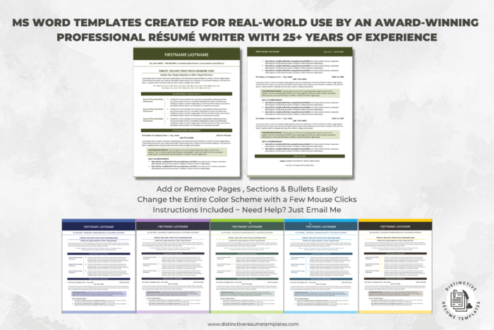 MS Word Resume Template Images 3