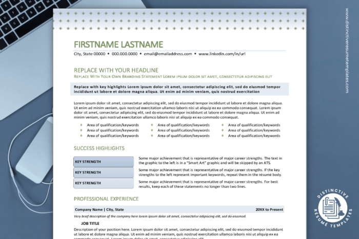 attractive resume template 1