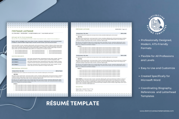 attractive resume template 2