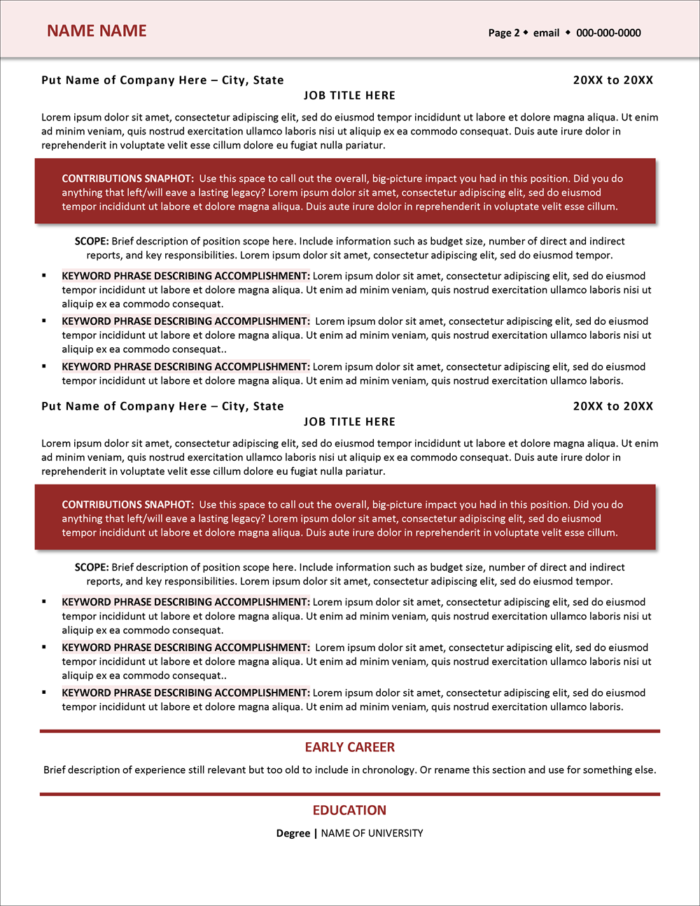Berry Perfection Versatile Resume Template Page 2