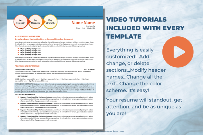 classic resume template images 5