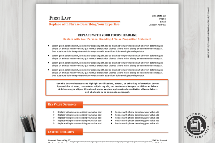 consultant resume template 1