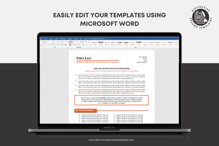 consultant resume template 10