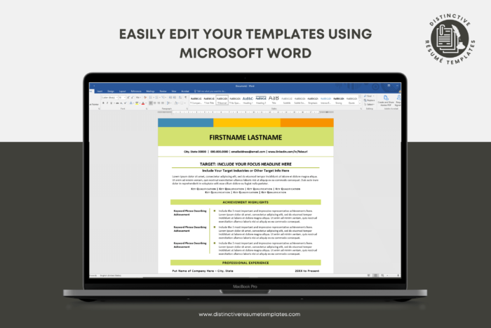 contemporary resume template 10