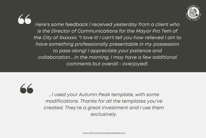 contemporary resume template 6
