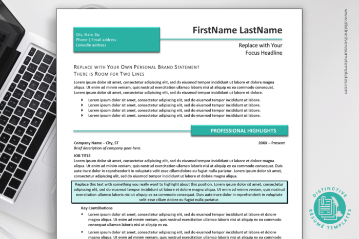 easy to use resume template 1