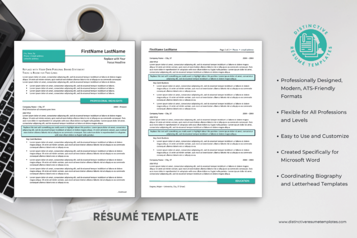 easy to use resume template 2