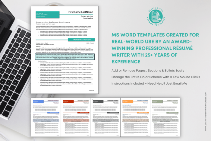 easy to use resume template 3