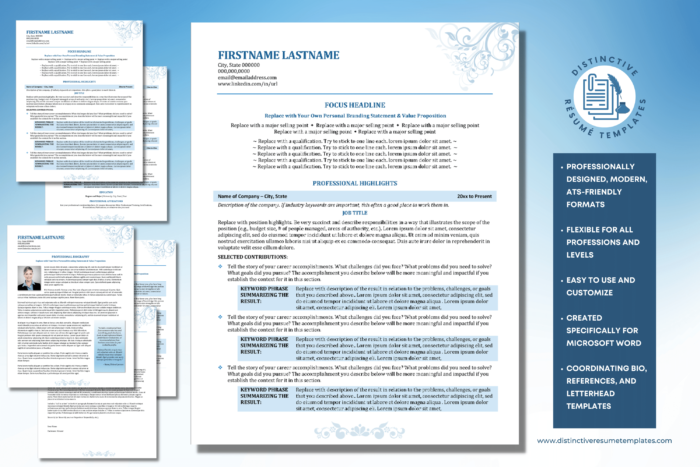 elegant resume template 1