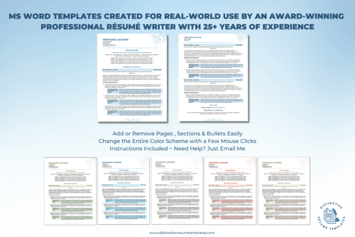elegant resume template 2