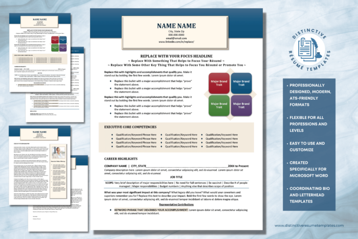 executive resume template 1