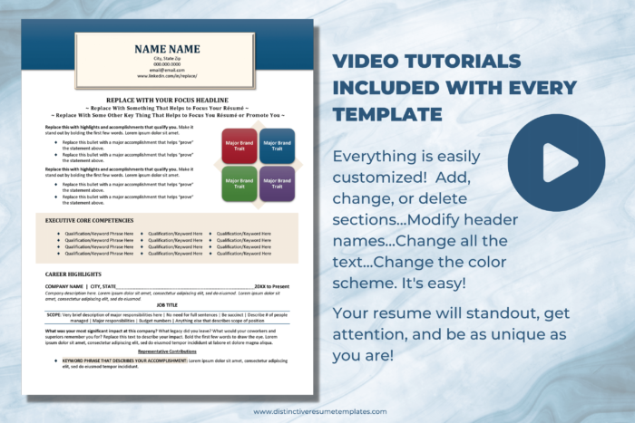 executive resume template 7