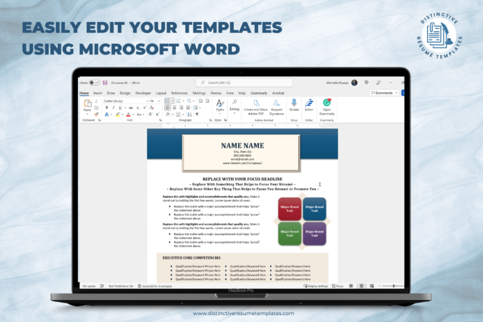 executive resume template 9