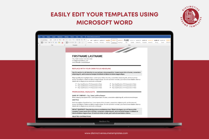 modern executive resume template 10