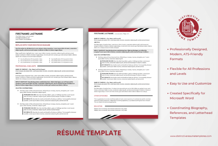 modern executive resume template 2