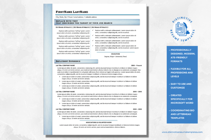 multi use resume template 2