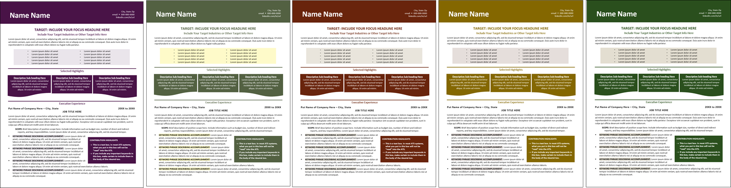 popular resume templates color choices