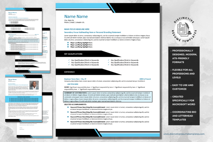 professional resume template 1