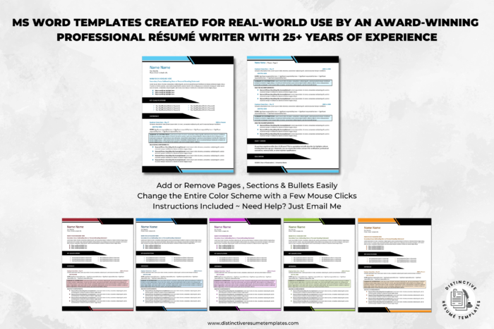 professional resume template 2