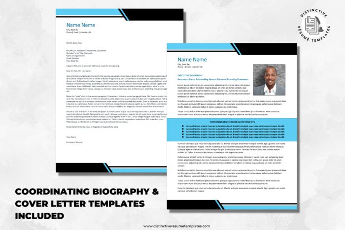professional resume template 3