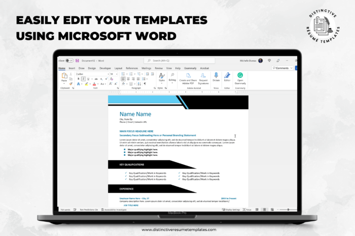professional resume template 9