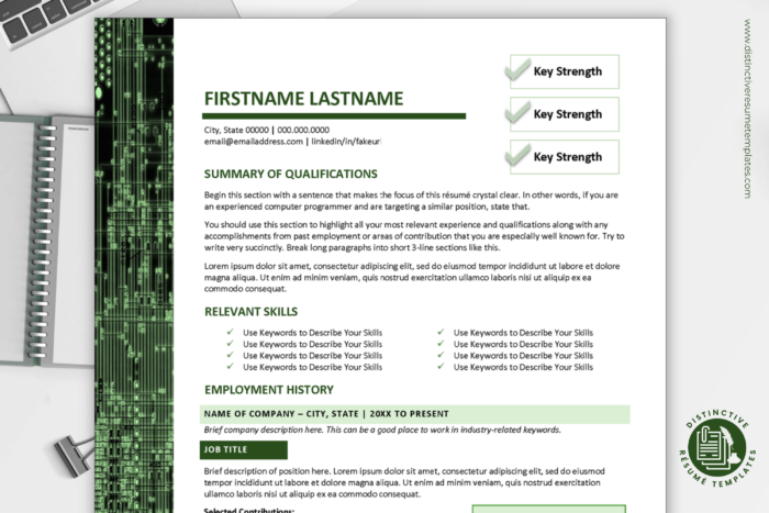 resume template for IT and computer professions 1