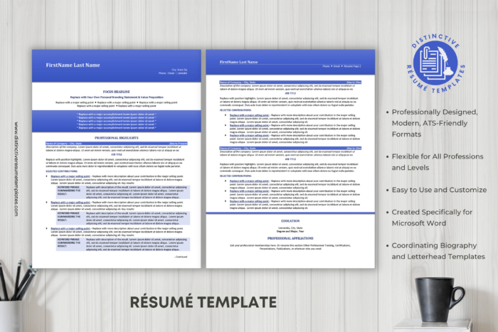 resume template with a unique format 2