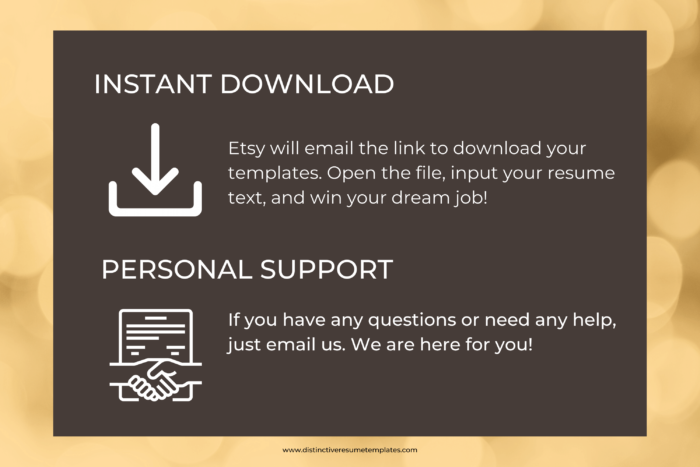 sophisticated resume template 1