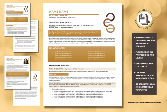 sophisticated resume template 2