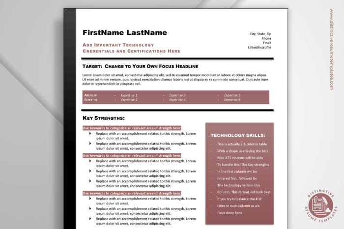 technical resume template 1