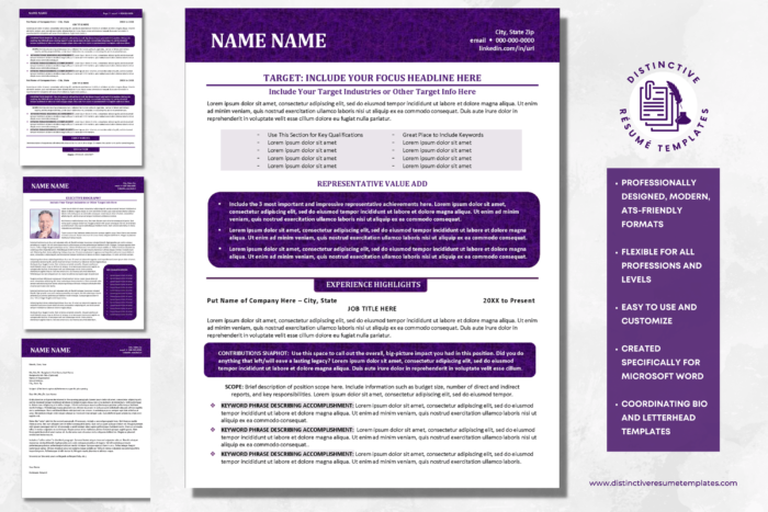 traditionally formatted resume template 2