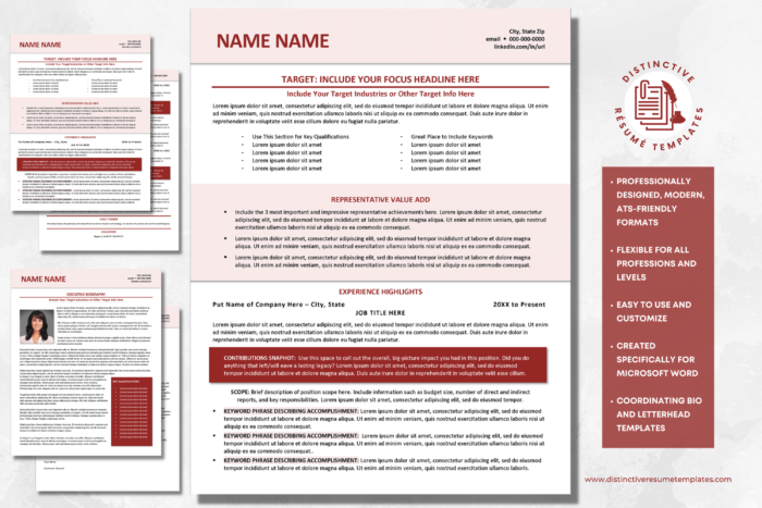 versatile resume template 2