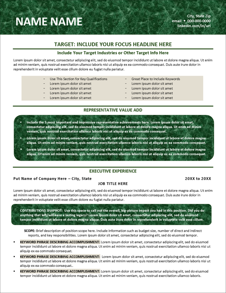 AttentionGetting Finance Professional Resume Template for Word
