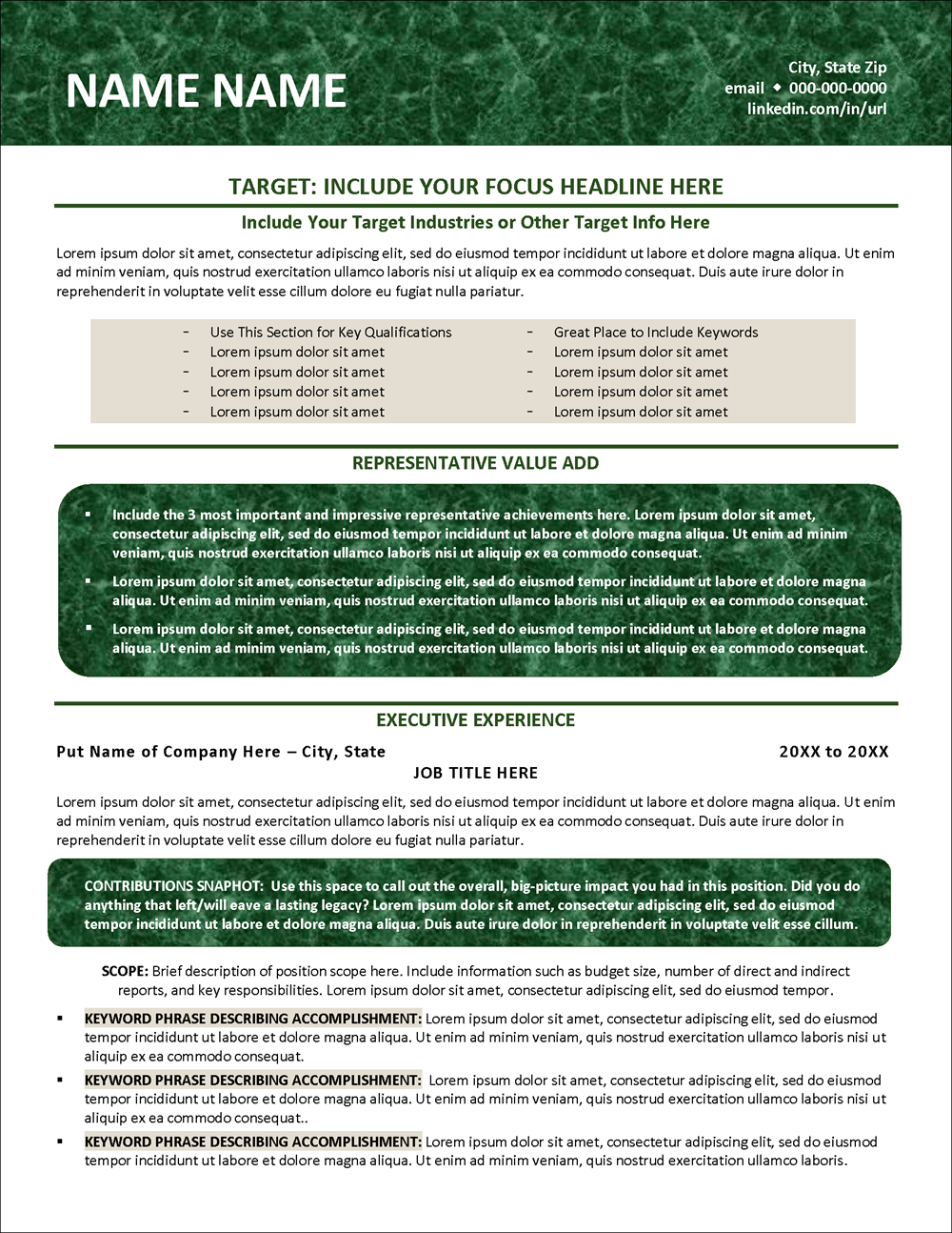 Finance Professional Resume Template Page 1