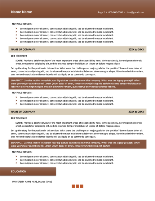 Infographic-Style Resume Template Page 2